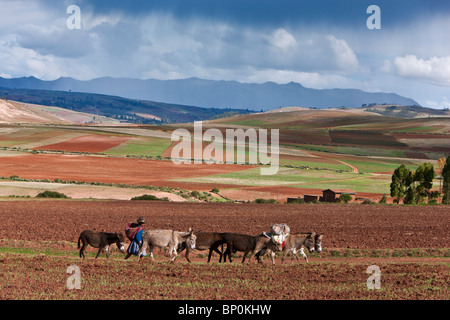 Le Pérou, fertile région agricole de haute altitude près de Maras. Banque D'Images