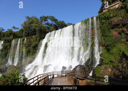 Chutes d'Iguaçu, un jour ensoleillé, tôt le matin. Les plus grandes chutes d'eau sur terre. Banque D'Images