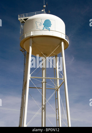 Château d'eau historique à George Washington, un monument de petite ville debout contre le ciel, symbolisant la communauté et Americana. Banque D'Images