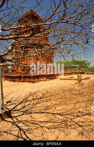 Tour Poshanu Cham Thap vue à travers les branches d'un arbre. Mui Ne, Vietnam Banque D'Images