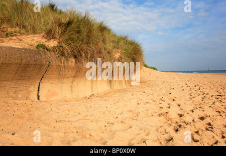 Mur de protection de la mer de dunes de sable de l'érosion côtière à Waxham, Norfolk, Angleterre, Royaume-Uni. Banque D'Images