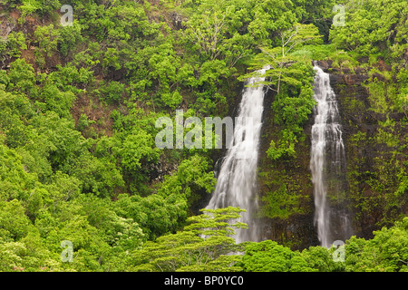 La branche nord de la rivière Wailua'Opaeka alimente une tombe sur la côte est de Kauai, Hawaii, USA. Banque D'Images