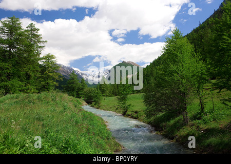 La France, les Alpes, le Queyras, région de Ceillac Banque D'Images