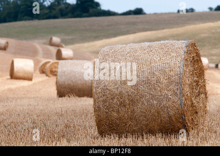 Hay bails dans les North Downs Way campagne du Kent Kent England Banque D'Images