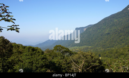 Des collines et des vallées dans la 'Serra do Mar' Banque D'Images