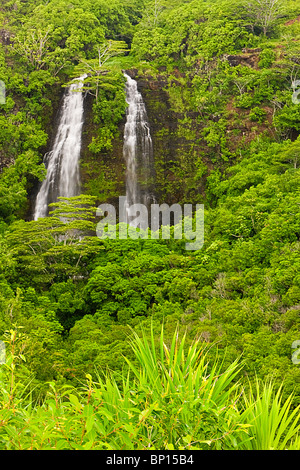 La branche nord de la rivière Wailua'Opaeka alimente une tombe sur la côte est de Kauai, Hawaii, USA. Banque D'Images