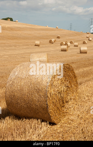 Hay bails dans les North Downs Way campagne du Kent Kent England Banque D'Images