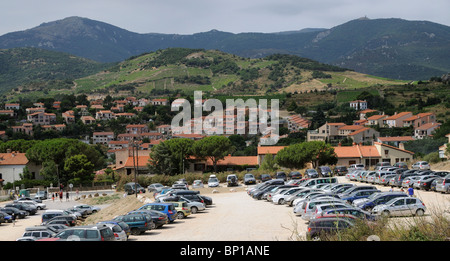 Vignes et vignobles de la région de l'Bunyals sud de la France Situé sur la colline à proximité de Banyuls sur Mer Banque D'Images