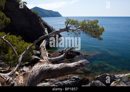 Impressions du Cap de Creus, Costa Brava, Espagne Banque D'Images