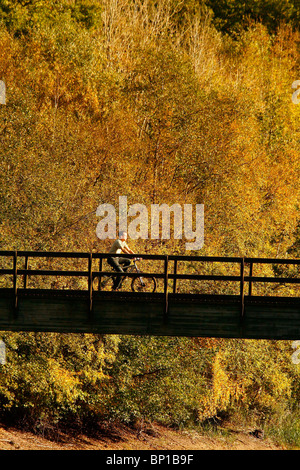 Couleurs automnales entourent un cycliste comme il traverse une passerelle au-dessus de Ardingly réservoir. Photo par James Boardman Banque D'Images