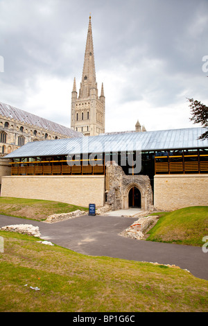 Nouvelle Cathédrale de Norwich à Hostry Banque D'Images