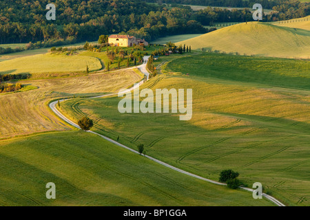 Route de campagne menant à villa toscane, près de Pienza, Toscane Italie Banque D'Images