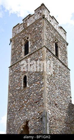 Ruines de l'église All Saints Panxworth, Norfolk, UK Banque D'Images