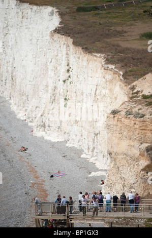 Les falaises de craie blanche et échelles d'accès à Urrugne, East Sussex, England, UK Banque D'Images