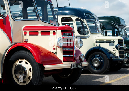 Bedford OB Vintage entraîneurs lors d'une foire à vapeur en Angleterre Banque D'Images