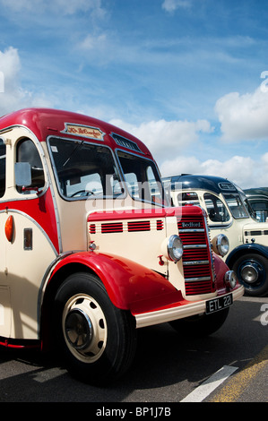 Bedford OB Vintage entraîneurs lors d'une foire à vapeur en Angleterre Banque D'Images