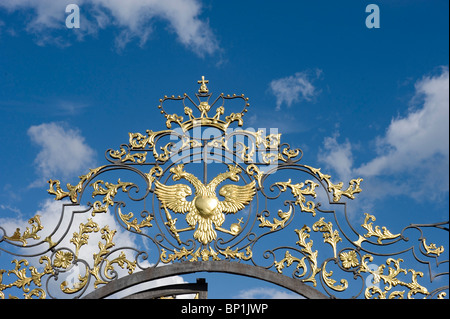 Fer forgé artistique en face du Palais de Catherine, Saint Petersburg, Russie Banque D'Images