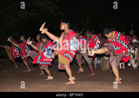 Des danseurs traditionnels swazi, réserve Mlilwane, Swaziland, Afrique Banque D'Images