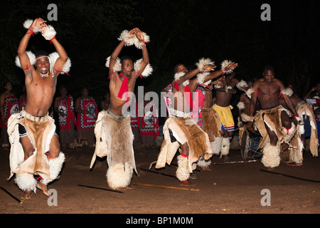 Des danseurs traditionnels swazi, réserve Mlilwane, Swaziland, Afrique Banque D'Images