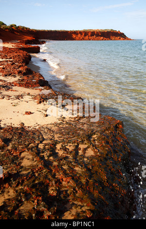 Cape Peron dans François Peron National Park, Denham, Australie Banque D'Images