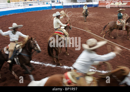 Charreria, le sport national du Mexique, à Texcoco, sur la périphérie de la ville de Mexico, le 28 octobre 2007. Banque D'Images