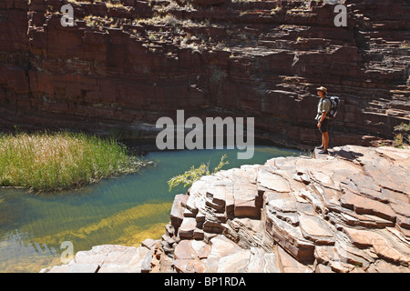 Dales Gorge située dans le parc national de Karijini avec Fortescue Falls, Tom Price, de l'Australie Banque D'Images