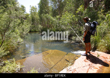 Dales Gorge située dans le parc national de Karijini avec Fortescue Falls, Tom Price, de l'Australie Banque D'Images