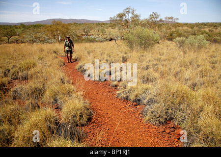 Un plateau dans le parc national de Karijini, Tom Price, de l'Australie Banque D'Images