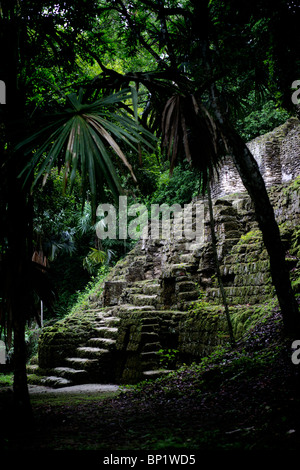 Ruines d'un temple dans le mundo Perdido ou monde perdu à Tikal dans le nord du Guatemala Banque D'Images