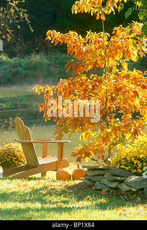 Chaise Adirondack par un étang avec orange sassafras arbre à feuillage d'automne, Midwest USA Banque D'Images