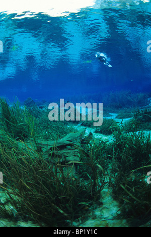 Impressions de la rivière Arc-en-ciel, Rainbow River, Florida, USA Banque D'Images