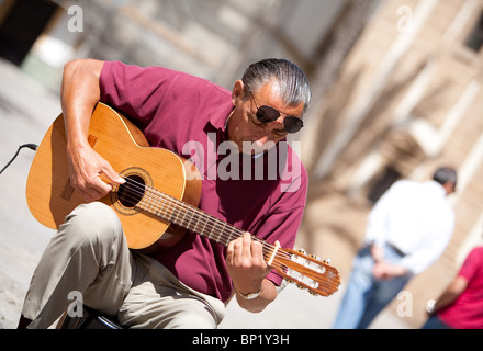 Musicien ambulant jouant la guitare classique espagnole dans la place en face de la Cathédrale de Cadix en Espagne. Banque D'Images