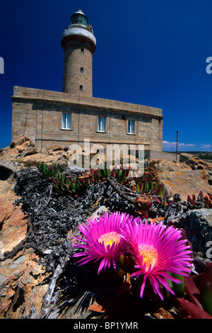 Phare de l'île de San Pietro, en Sardaigne, Italie Banque D'Images