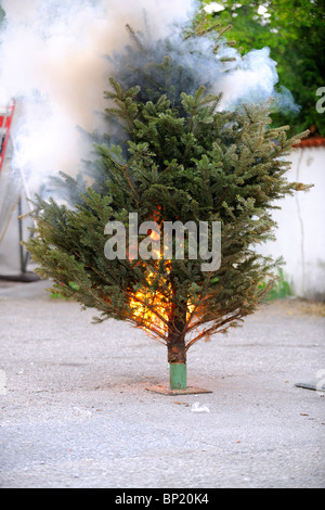 Séquence de l'arbre de Noël de gravure. À partir du début jusqu'à la fin. Banque D'Images