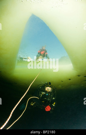 Plongée sous-marine sous la glace, mer Blanche, la Carélie, Russie Banque D'Images