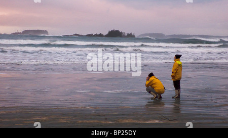 Cox Bay, sur la côte sud-ouest de l'île de Vancouver, Colombie-Britannique, Canada Banque D'Images