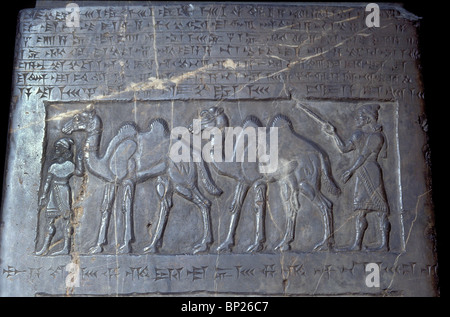 Panneau de l'Obélisque NOIR DU ROI SALMANASAR III. De NIMRUD C. 825 B.C. PIC : GILZANITE PORTANT HOMMAGE DE ARGENT OR Banque D'Images