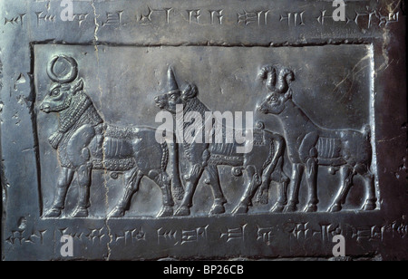 Panneau de l'Obélisque NOIR DU ROI SALMANASAR III. De NIMRUD C. 825 B.C. REPRÉSENTANT L'HOMMAGE DU PAYS DE MUSRI IL Banque D'Images