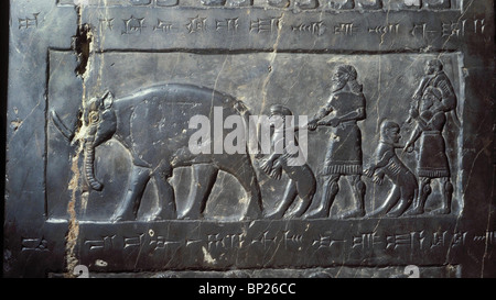 Panneau de l'Obélisque NOIR DU ROI SALMANASAR III. De NIMRUD C. 825 B.C. REPRÉSENTANT L'HOMMAGE DU PAYS DE MUSRI IL Banque D'Images
