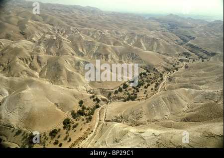 Désert de Judée WADI QUILT ; la vieille route entre Jérusalem et Jéricho 2885 UNE OASIS dans le désert de Judée dans le Wadi Kelt Banque D'Images