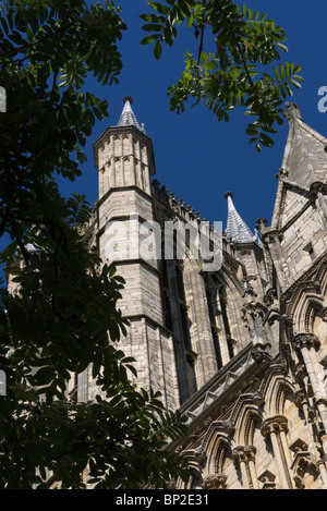 Journée ensoleillée à la cathédrale de Lincoln vu à travers les branches d'un cerisier Banque D'Images