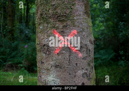 Croix rouge peint sur le tronc d'un arbre en Inchree, en Écosse. Banque D'Images