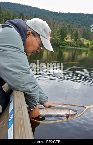 Pêcheur sportif admirant argenté rose flanquée de Mamit sauvages truites arc-en-ciel dans le lac avant d'épuisette de presse Banque D'Images