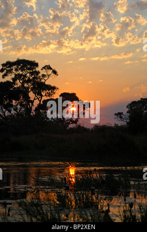 Coucher de soleil sur les marais du delta de l'Okavango, au Botswana Banque D'Images