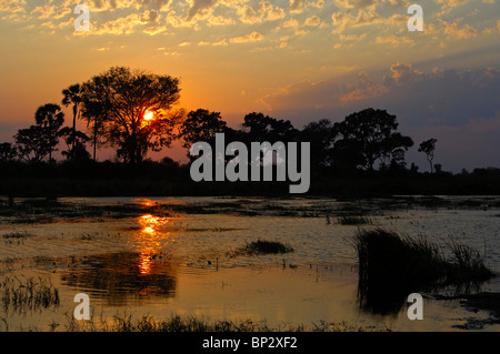 Coucher de soleil sur les marais du delta de l'Okavango, au Botswana Banque D'Images