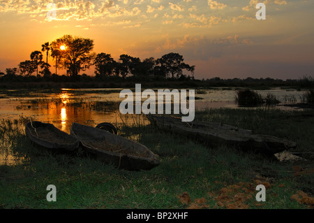 Coucher de soleil sur les marais du delta de l'Okavango, au Botswana Banque D'Images