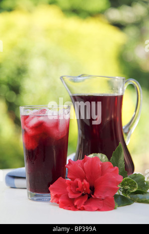 Jus d'HIBISCUS OU ROSELLE Banque D'Images