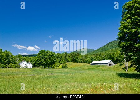 Paysage rural avec Green Meadow, New Hampshire, USA. Banque D'Images