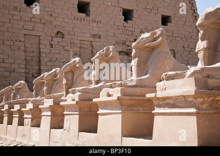 L'Avenue des sphinx à tête de bélier qui conduisent à la premier pylône de Karnak. Banque D'Images