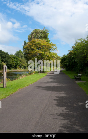 Scène du parc Victoria, à East Belfast, un ASSI (domaine d'intérêt scientifique). Banque D'Images